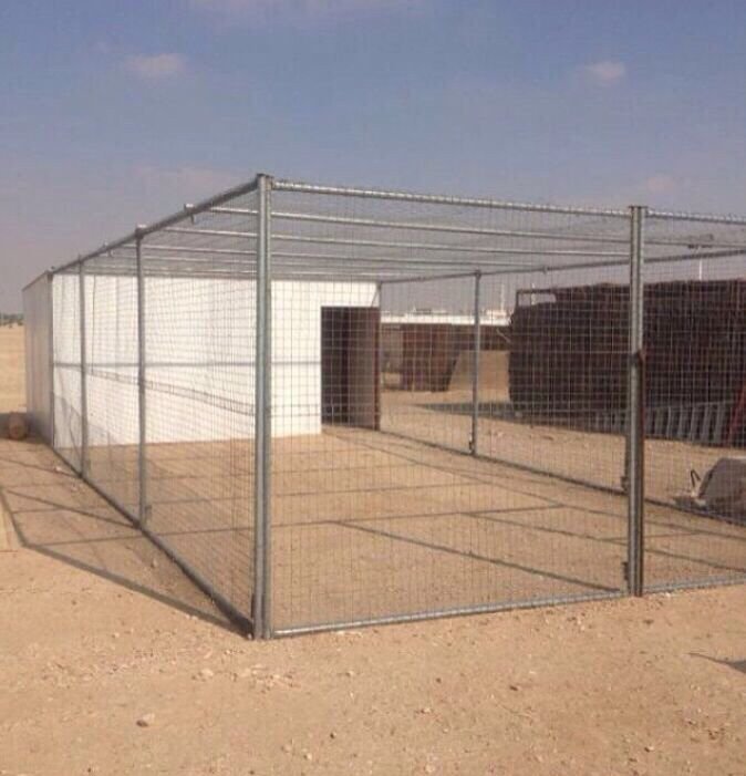 شبوك غنم